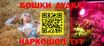 a pvp Краснознаменск
