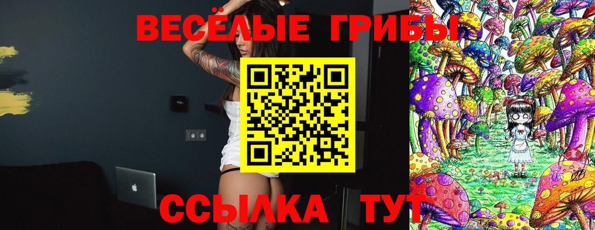 Галлюциногенные грибы GOLDEN TEACHER Коммунар